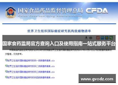 国家食药监局官方查询入口及使用指南一站式服务平台