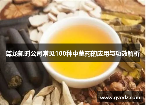 尊龙凯时公司常见100种中草药的应用与功效解析
