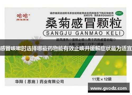 感冒咳嗽时选择哪些药物能有效止咳并缓解症状最为适宜