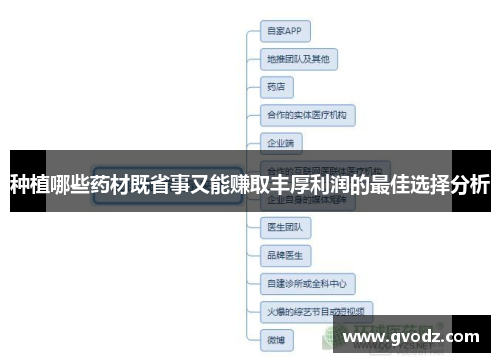 种植哪些药材既省事又能赚取丰厚利润的最佳选择分析