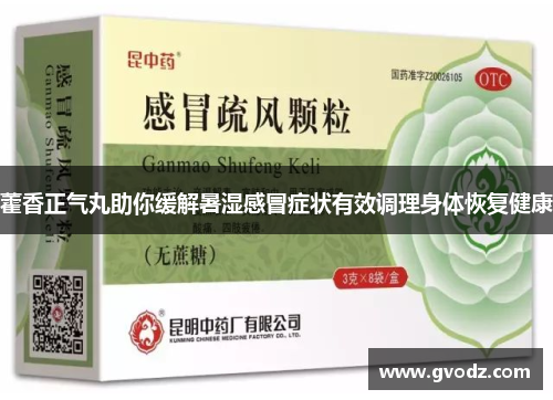 藿香正气丸助你缓解暑湿感冒症状有效调理身体恢复健康