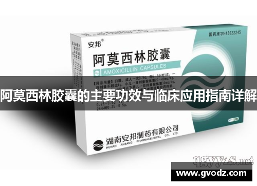 阿莫西林胶囊的主要功效与临床应用指南详解