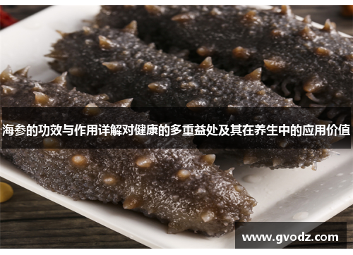 海参的功效与作用详解对健康的多重益处及其在养生中的应用价值